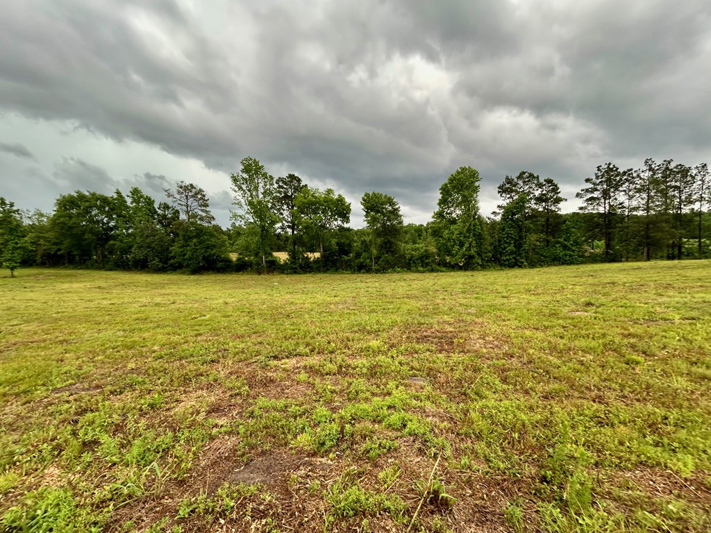 4010 Highway 63 E Property Photo 8