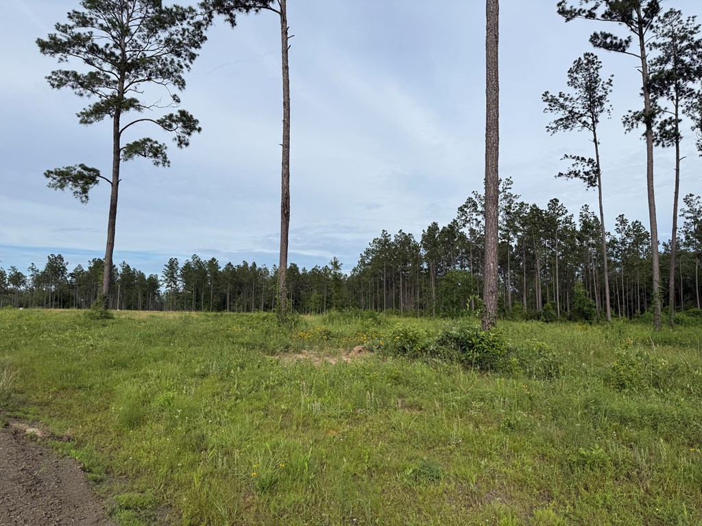 70013680 Property Photo 2
