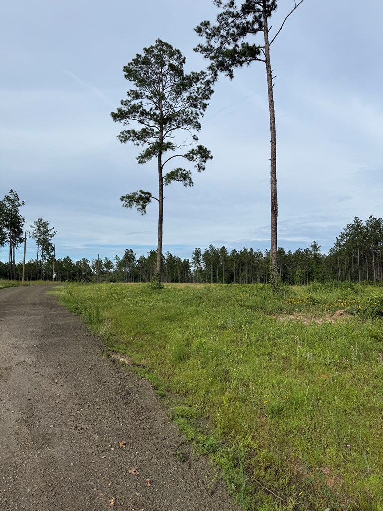 70013680 Property Photo 3