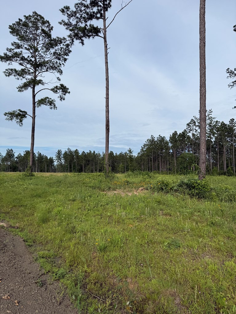70013680 Property Photo 4