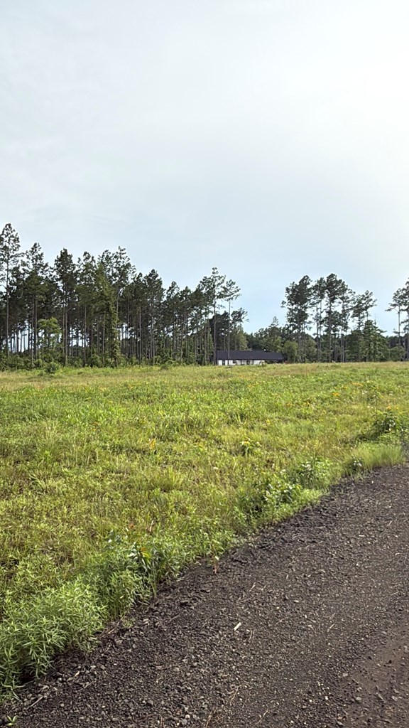 70013680 Property Photo 7