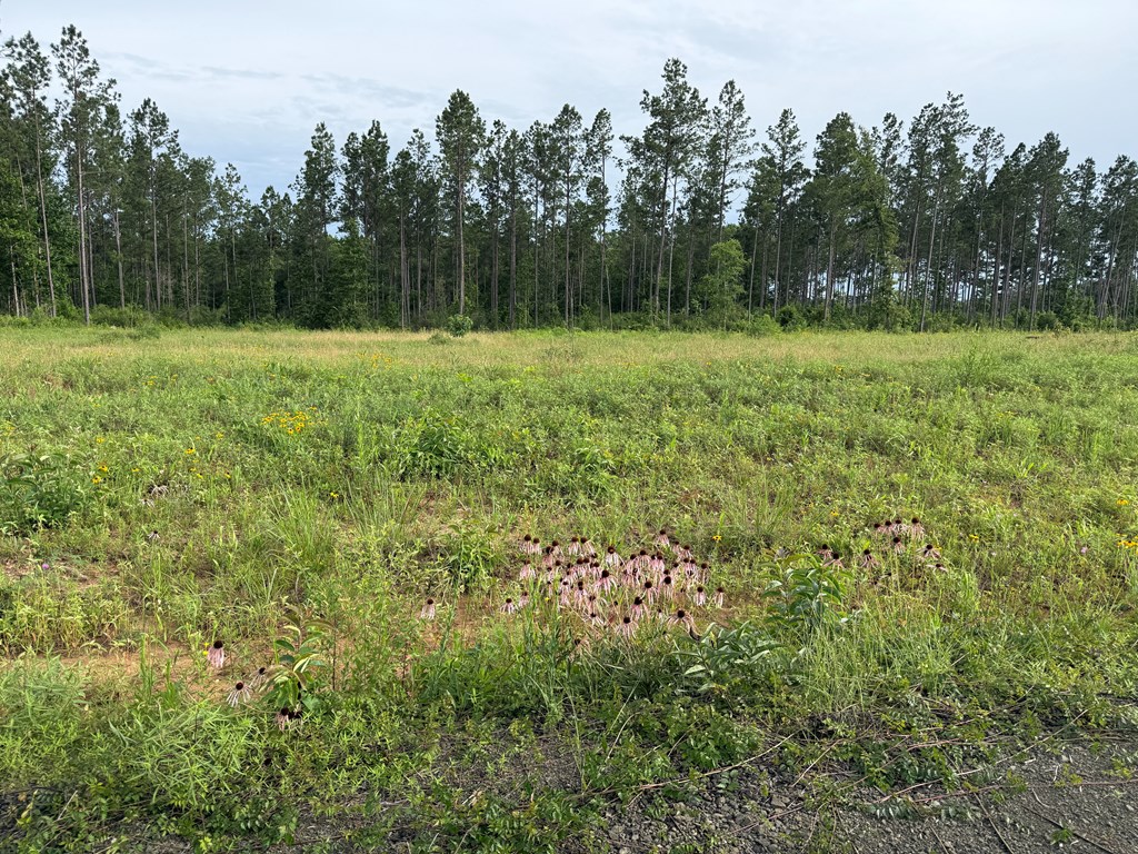 70013680 Property Photo 9
