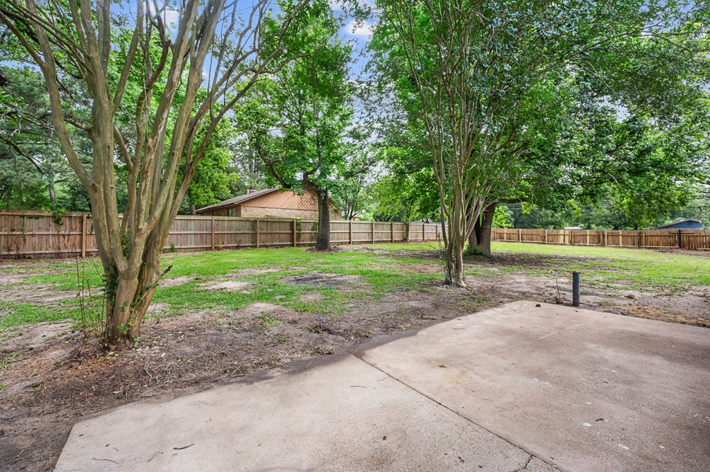 1504 Spruce Property Photo 19