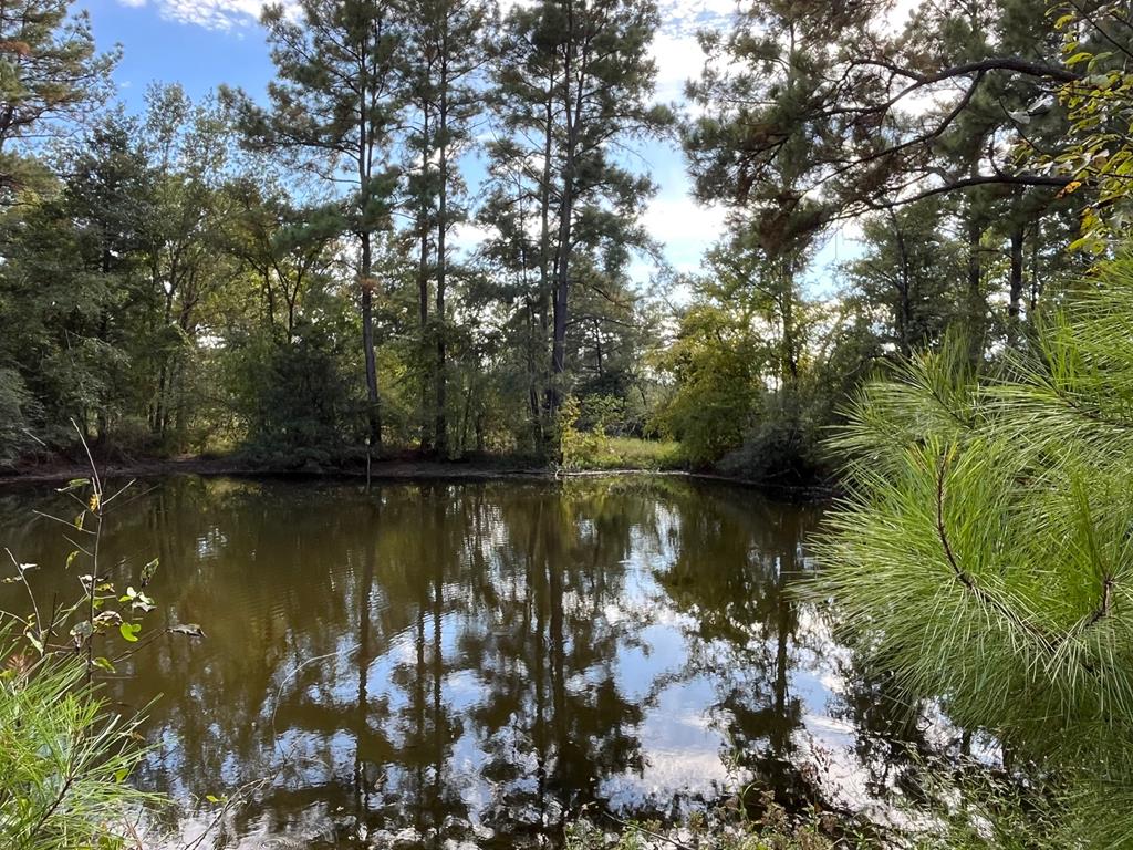 7749 Cr 4200 Property Photo 1