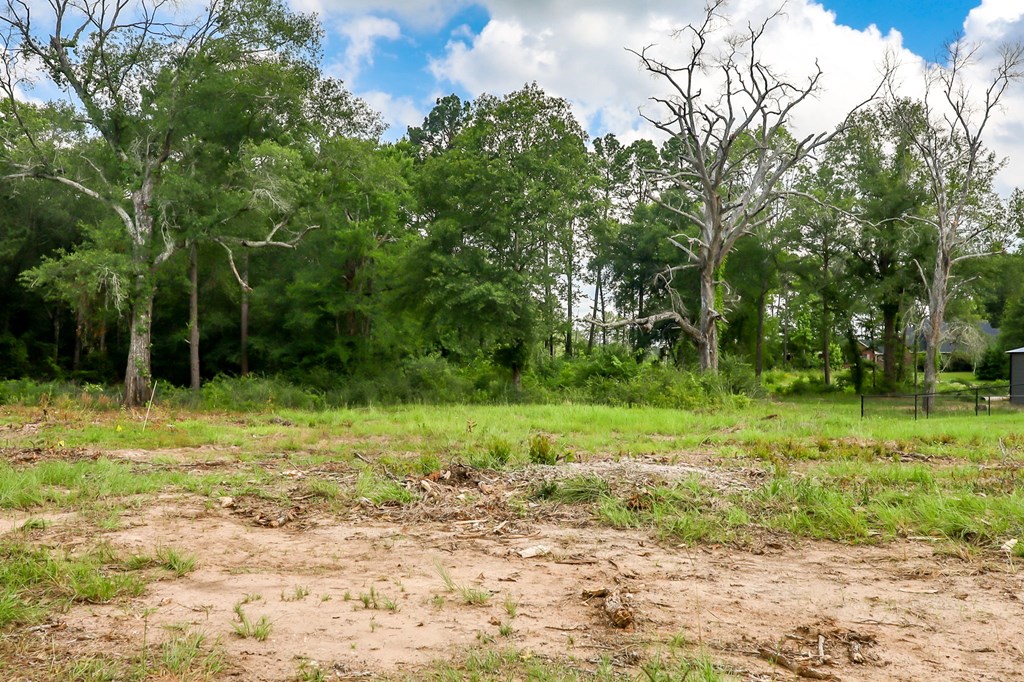 4870 Old Union Road Property Photo 43