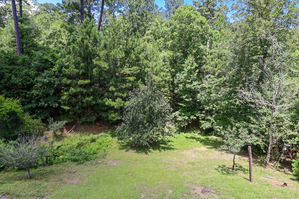 264 Wildbriar Drive Property Photo 47
