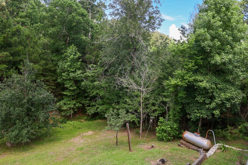 264 Wildbriar Drive Property Photo 48