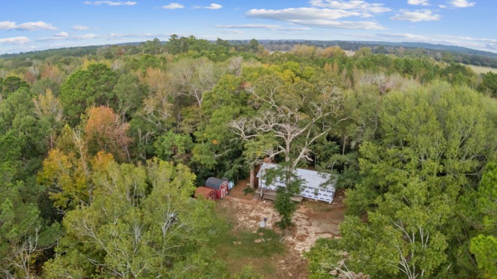 1556 Fm 254 S Property Photo 1
