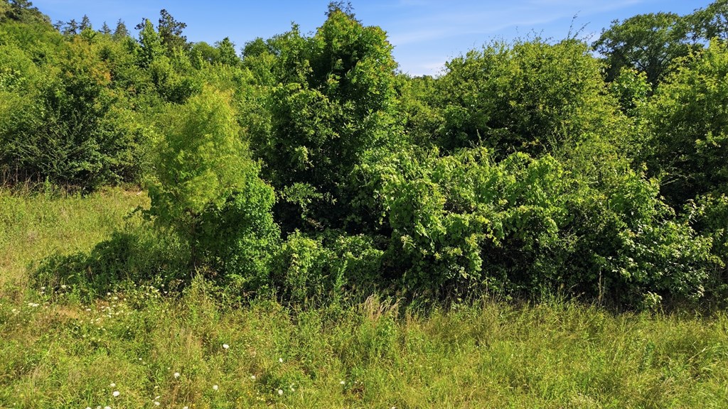 Pid 26623 Stallings Dr N Property Photo 8