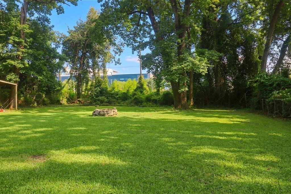 1127 Mantooth Avenue Property Photo 38