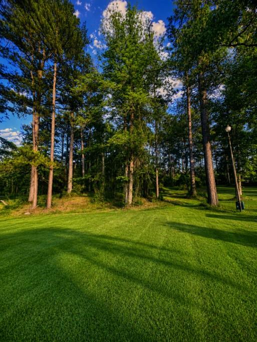 300 Sweet Gum Loop Property Photo 1