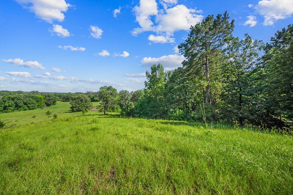 820 Private Rd 6148 Property Photo 68