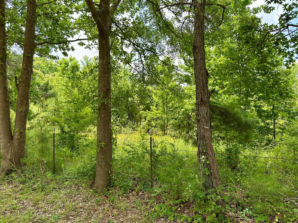 540 Bendy Lane Property Photo 11