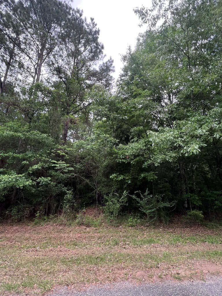 1170 Walnut Run Drive Property Photo 2