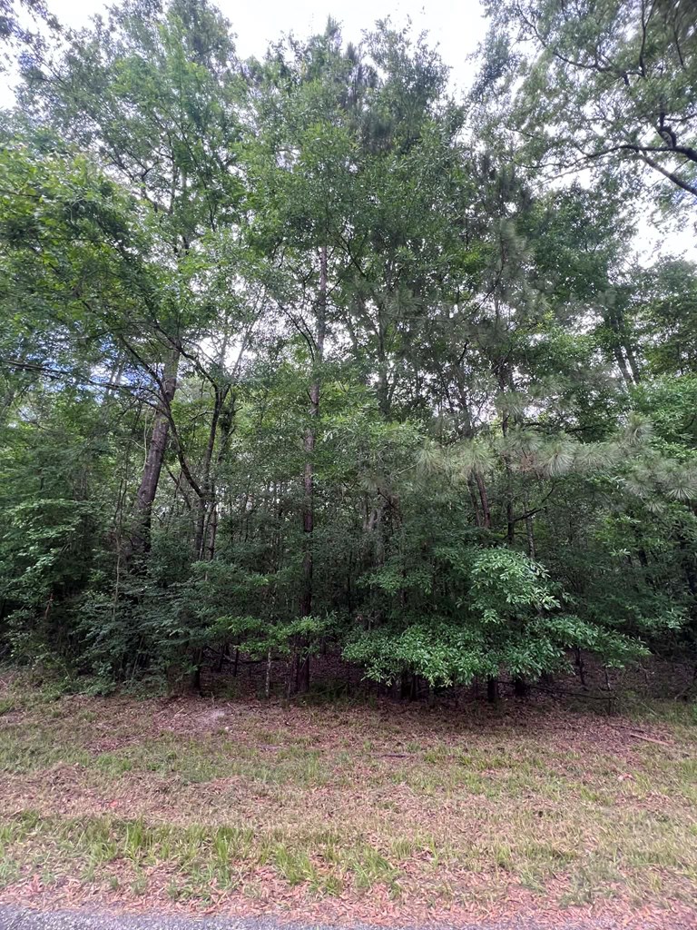 1170 Walnut Run Drive Property Photo 4