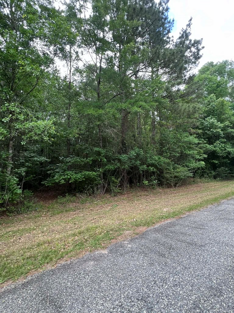 1170 Walnut Run Drive Property Photo 11