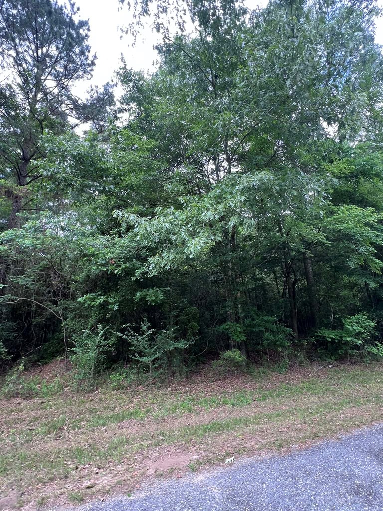 1170 Walnut Run Drive Property Photo 12