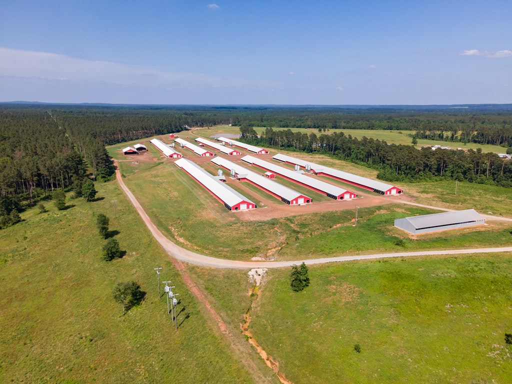 Farm 2 Cr 779 Property Photo 4