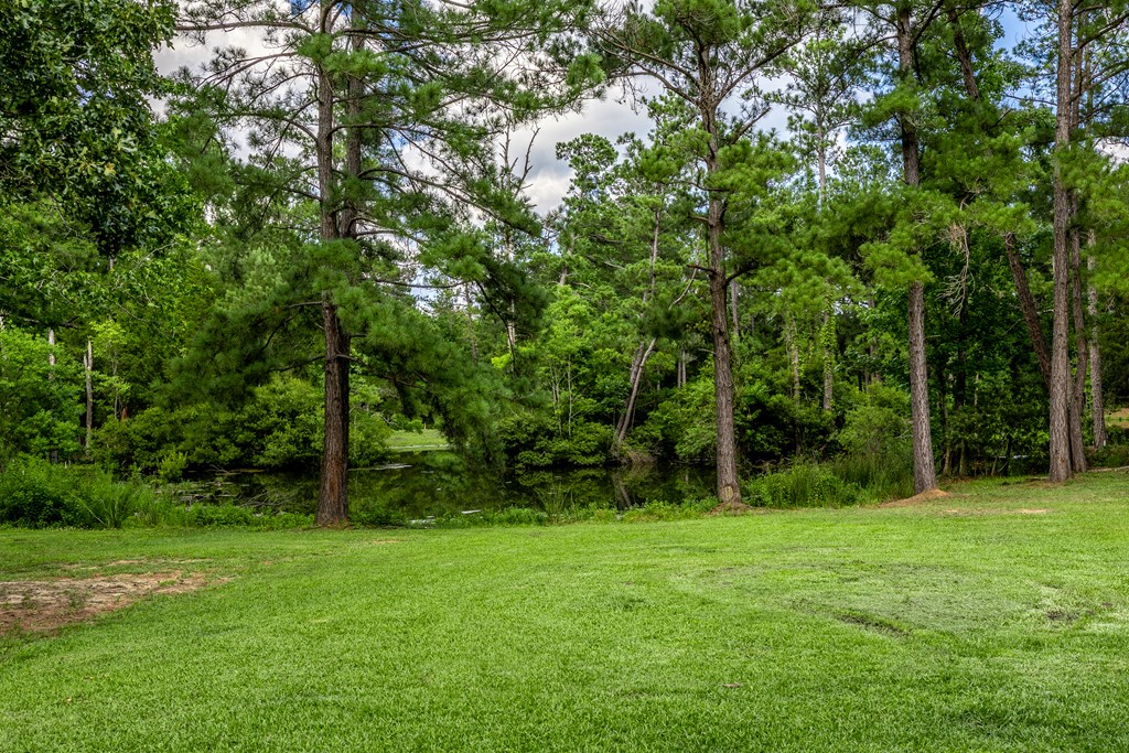 2240 Whitehead Road Property Photo 63