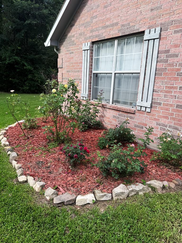 343 Cedaridge Property Photo 5