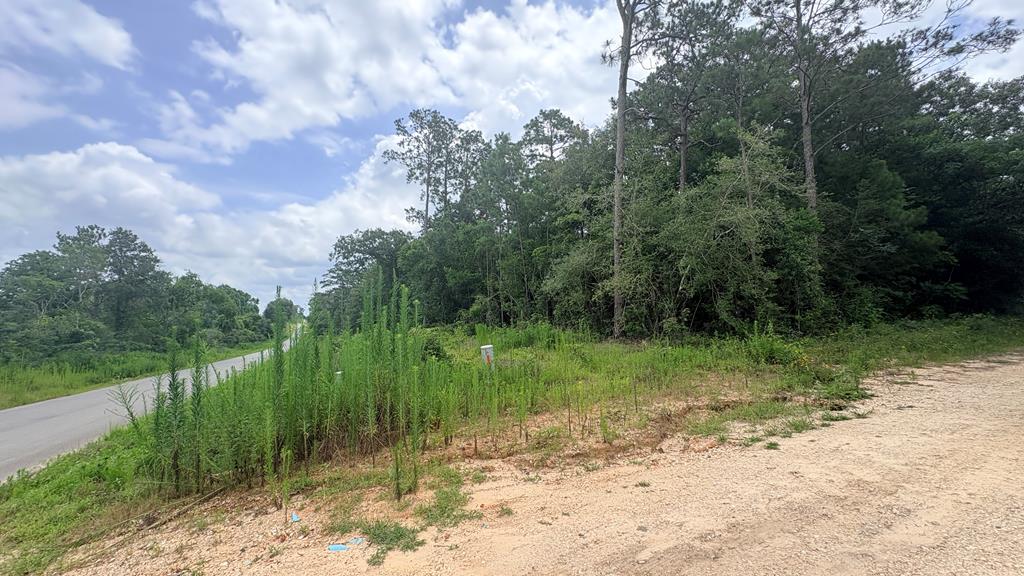 Lot 1 Mill Creek Road Property Photo 1