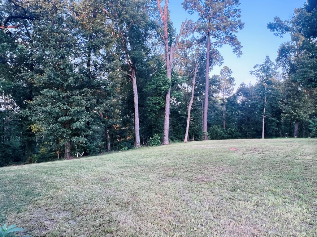 430 Pine Cone Lane Property Photo 17