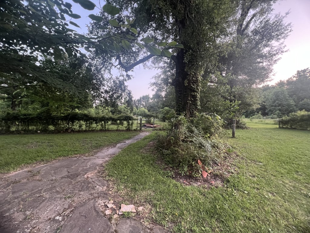 1264 Fm 2109 Property Photo 22