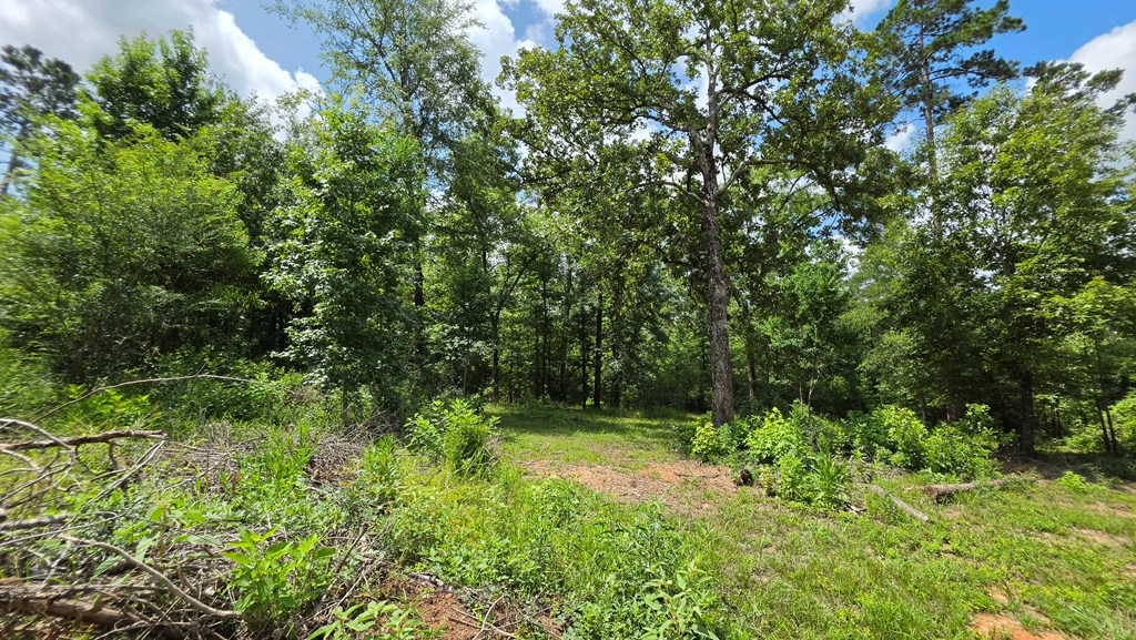 2893 Cr 182 Property Photo 12