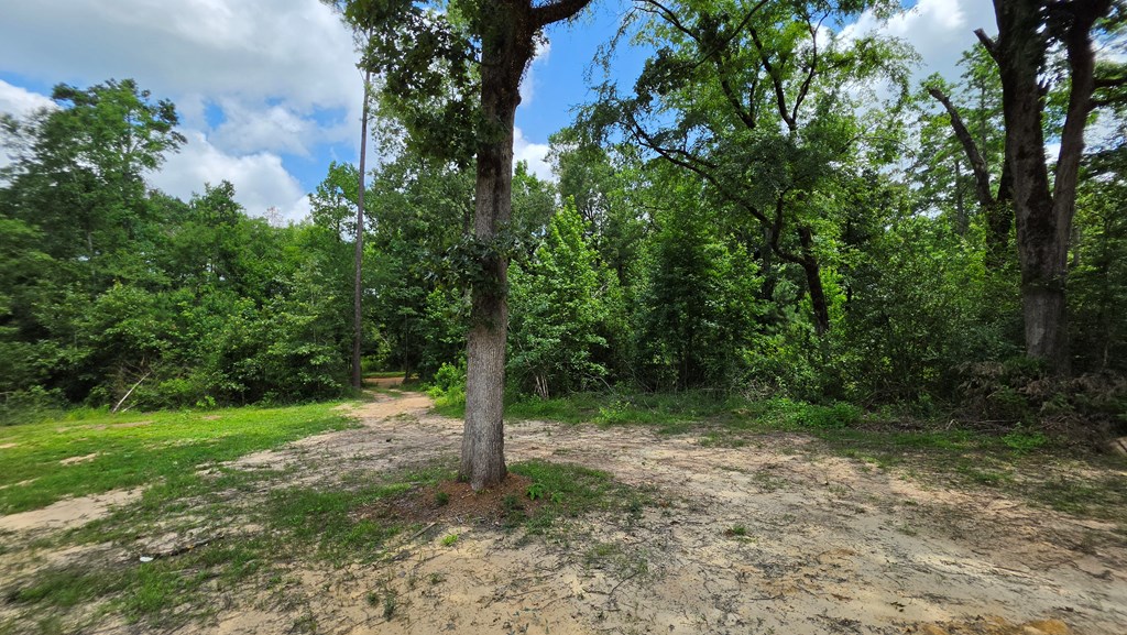 2893 Cr 182 Property Photo 13