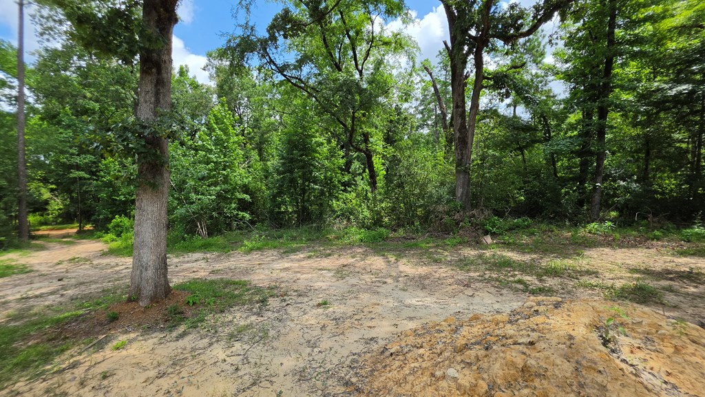 2893 Cr 182 Property Photo 14