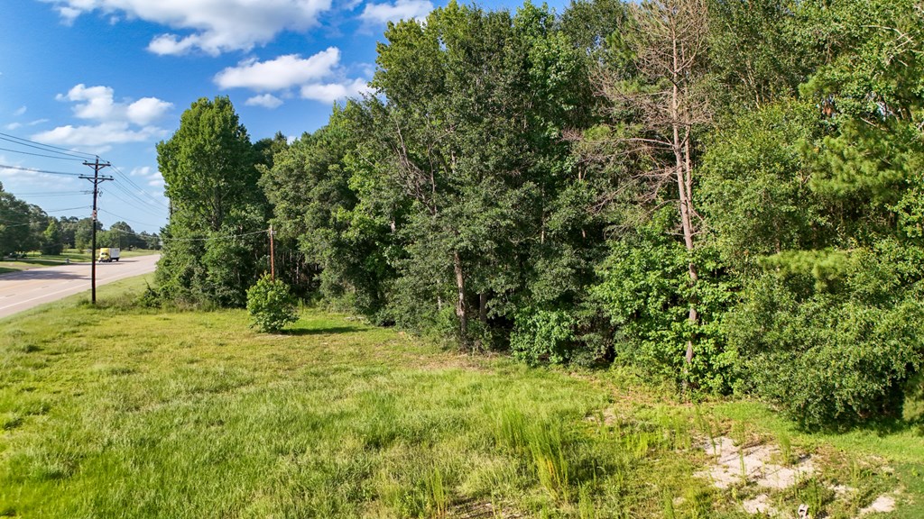 33803 Highway 96 S Property Photo 3