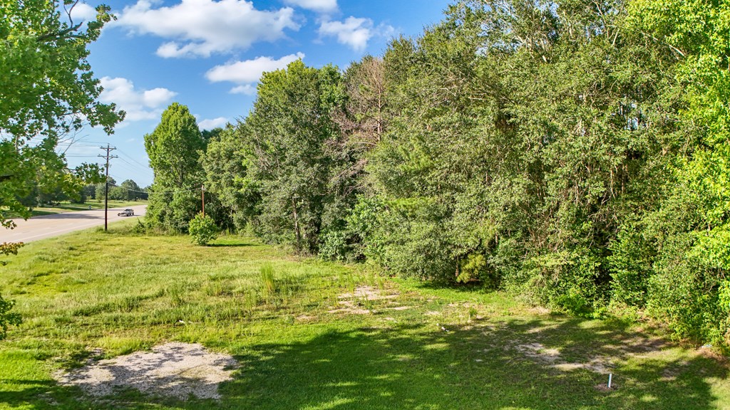 33803 Highway 96 S Property Photo 4