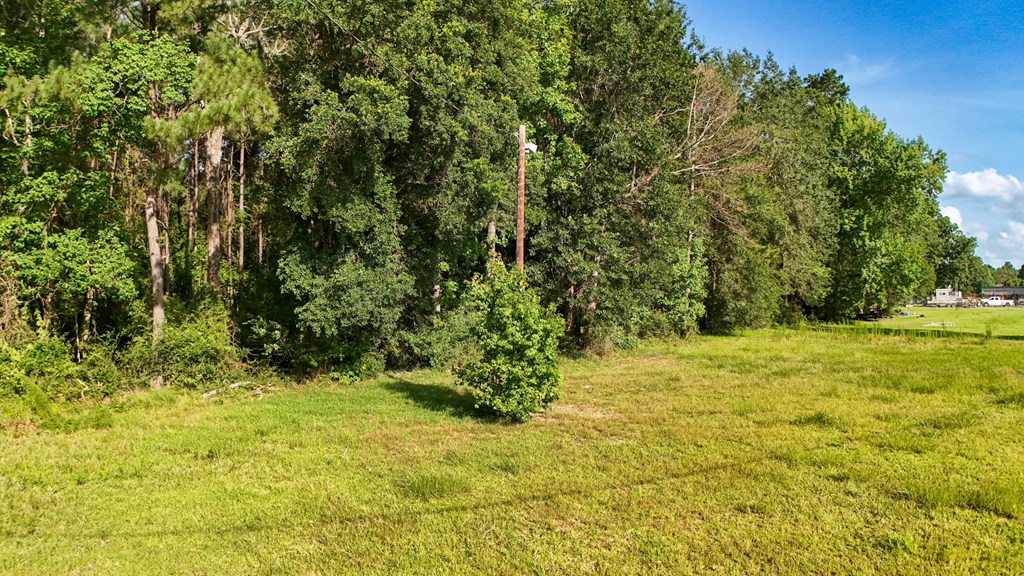33803 Highway 96 S Property Photo 5