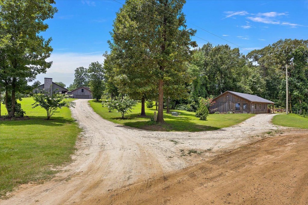 1055 Cr 1361 Property Photo 12