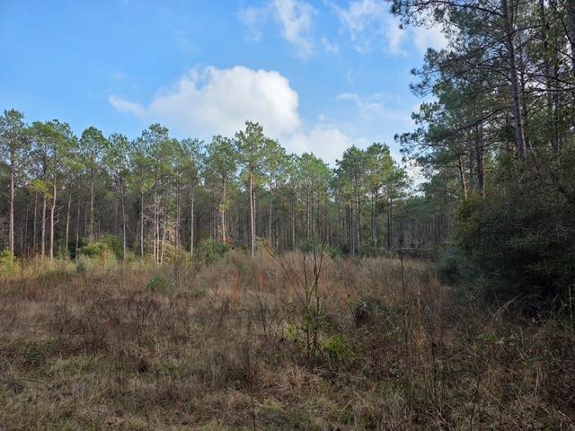 Pid #14315 Cr 1051 Property Photo 1