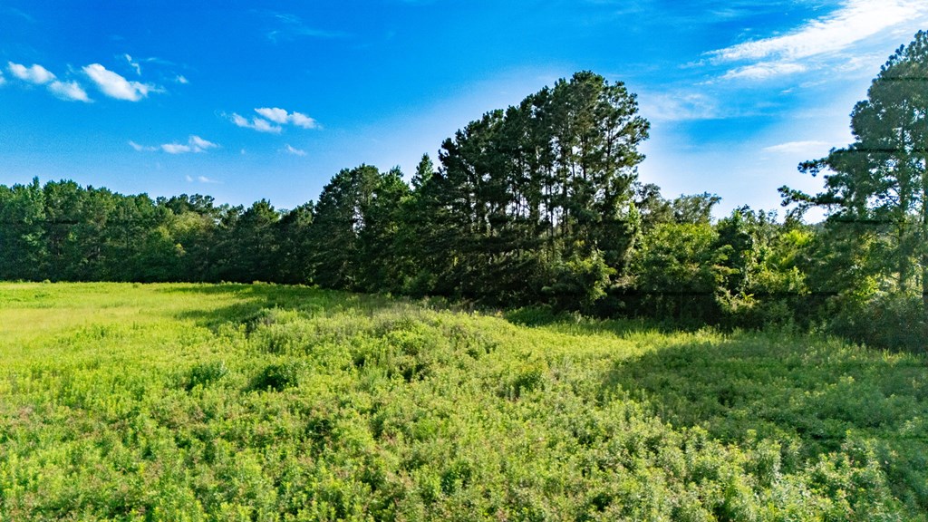 4656 Us Hwy 69 S Property Photo 3