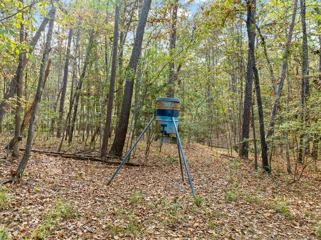 279 Angler Loop Property Photo 9