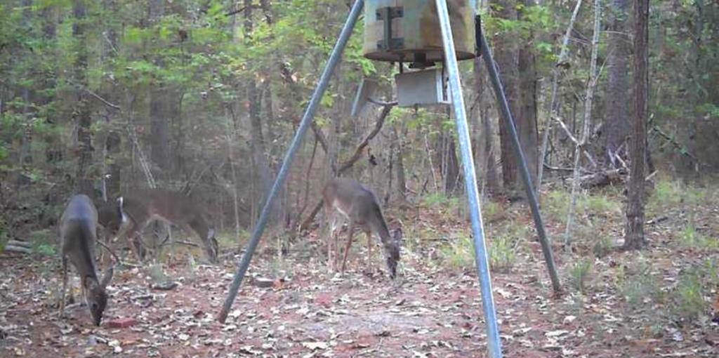 279 Angler Loop Property Photo 11