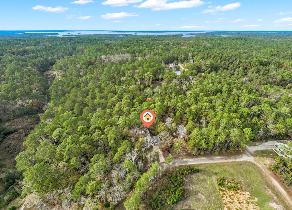 279 Angler Loop Property Photo 12