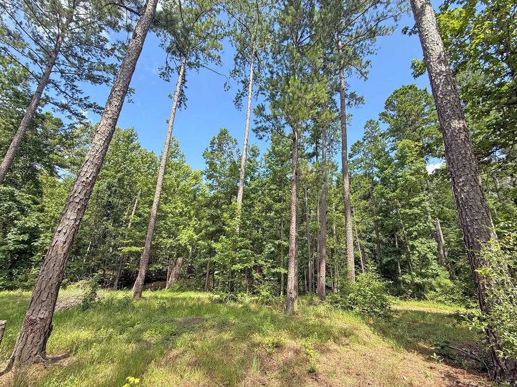 11638 Sh 204 Property Photo 1