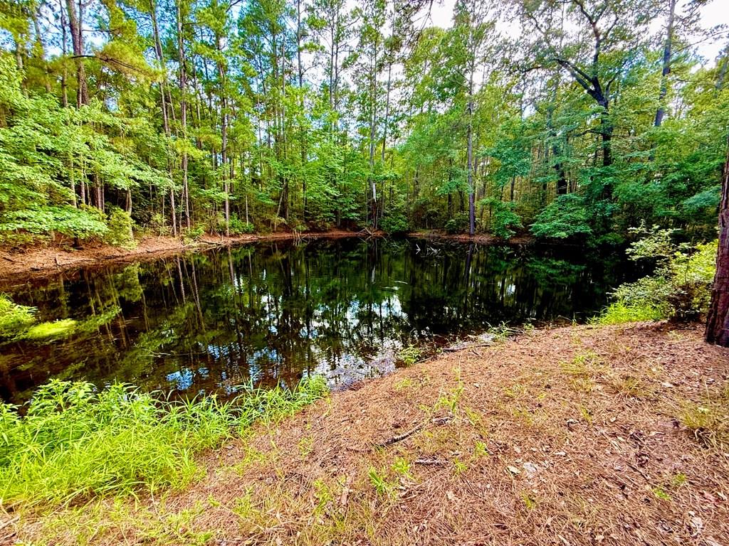 Parcel: 12636 Cr 4740 Property Photo 1