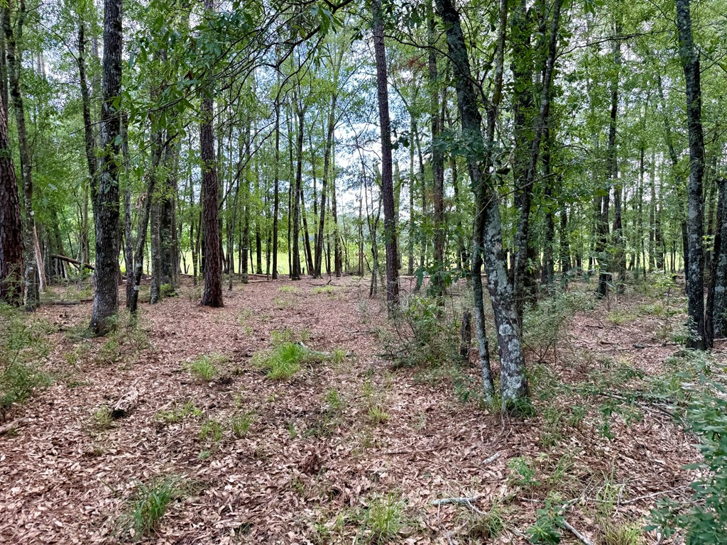 Parcel: 12636 Cr 4740 Property Photo 4