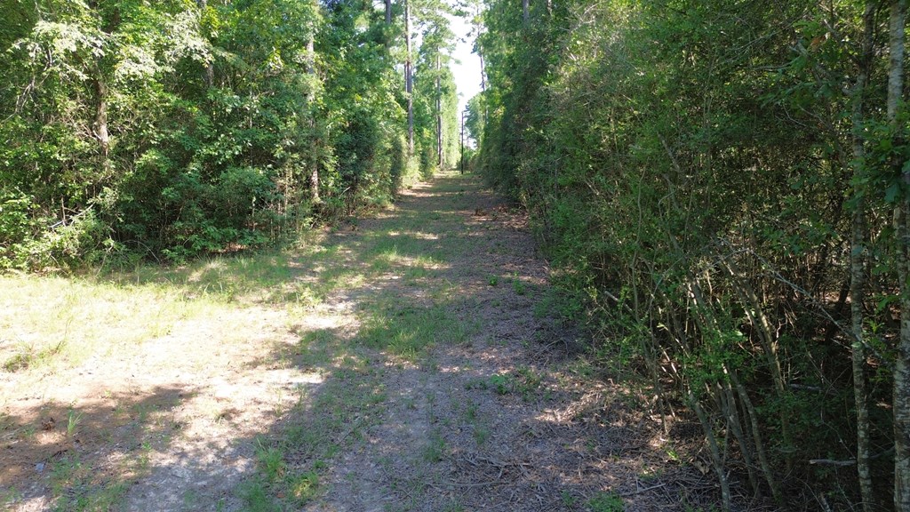 Parcel: 12636 Cr 4740 Property Photo 6