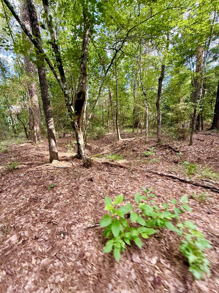Parcel: 12636 Cr 4740 Property Photo 27