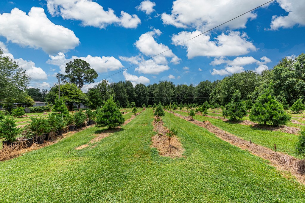 1866 St Hwy 7 E Property Photo 22