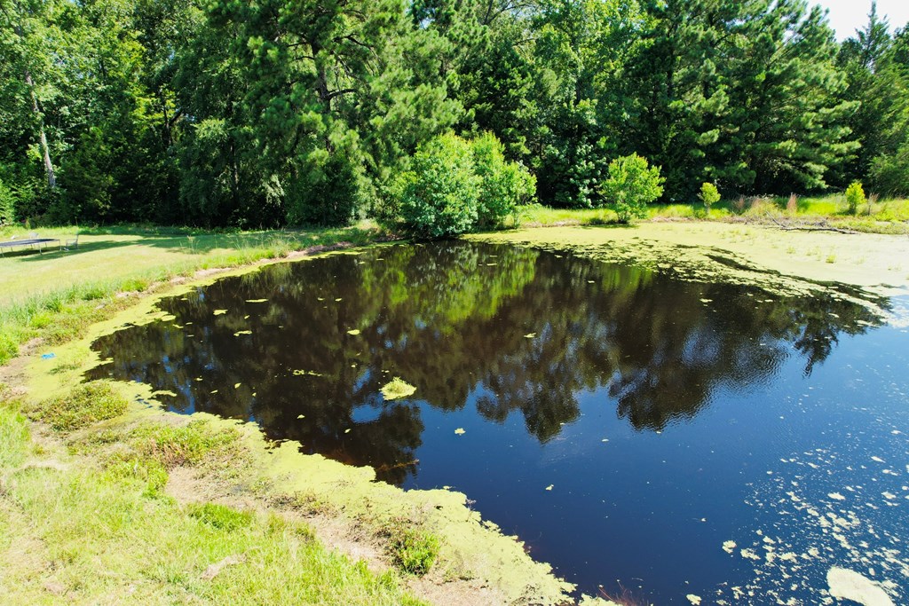 1086 Fm 2680 Property Photo 18