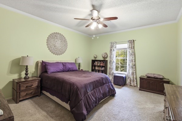 757 County Road 200 Property Photo 17
