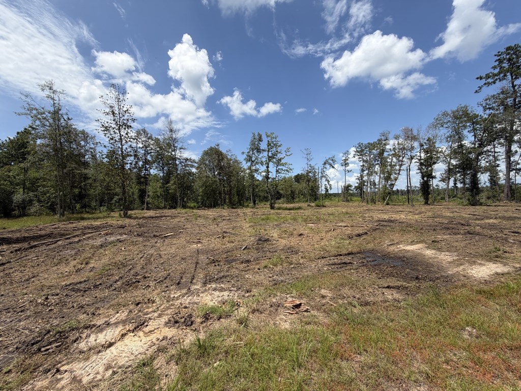 1499 Pr 7129 Property Photo 45