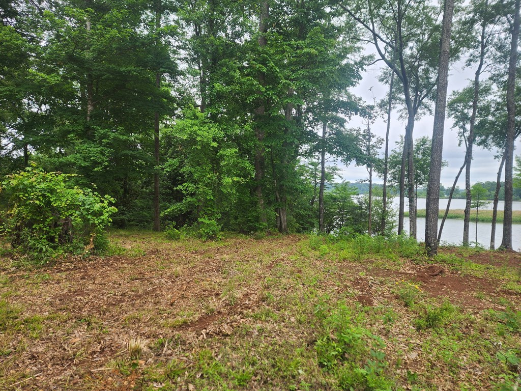 321 Old Tejas Trail West Property Photo 2