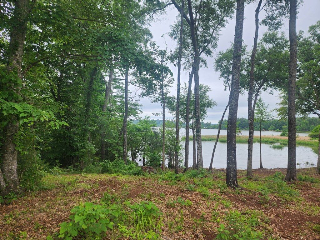 321 Old Tejas Trail West Property Photo 3